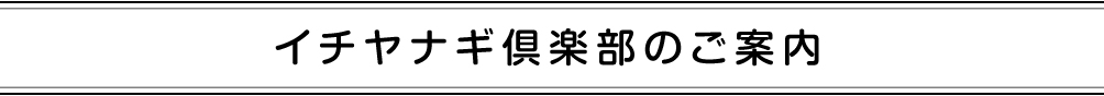 イチヤナギ倶楽部のご案内