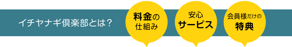 イチヤナギ倶楽部とは？